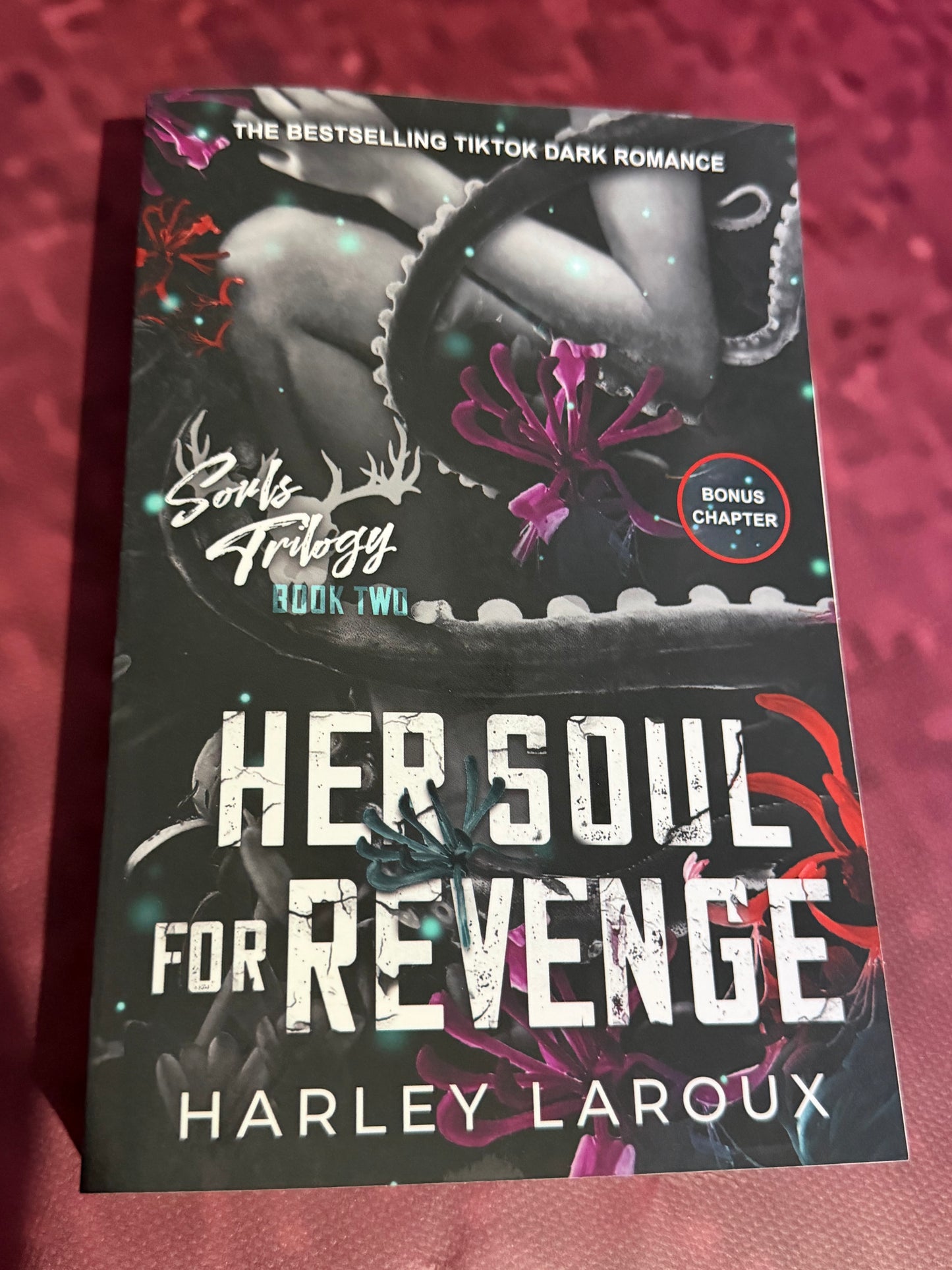 Her Soul for Revenge: Souls Trilogy, Book 2